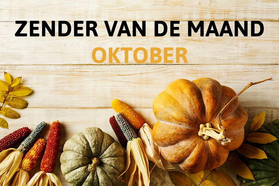 Zender van de maand oktober | Providercheck.nl